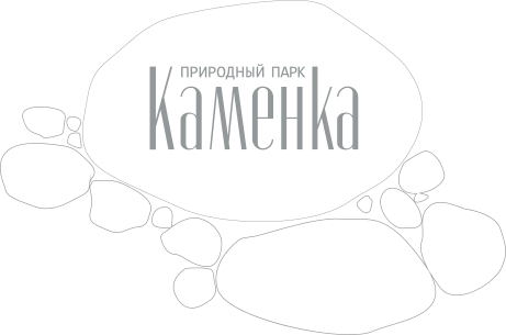 Концепция Природный Парк Каменка - 2LINES Рекламная группа BRANDING DESIGN DIGITAL WEB