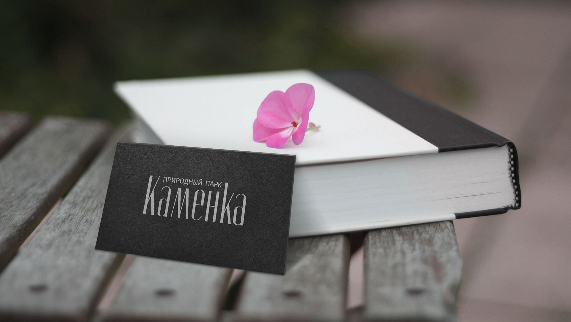 Концепция Природный Парк Каменка - 2LINES Рекламная группа BRANDING DESIGN DIGITAL WEB
