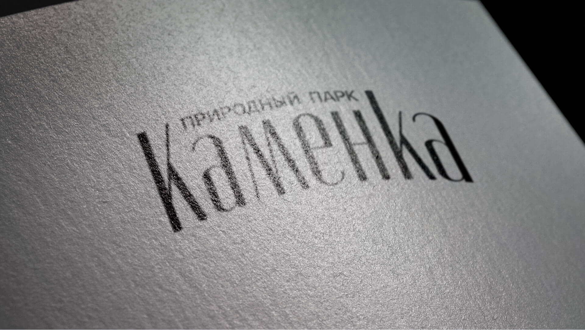 Концепция Природный Парк Каменка - 2LINES Рекламная группа BRANDING DESIGN DIGITAL WEB
