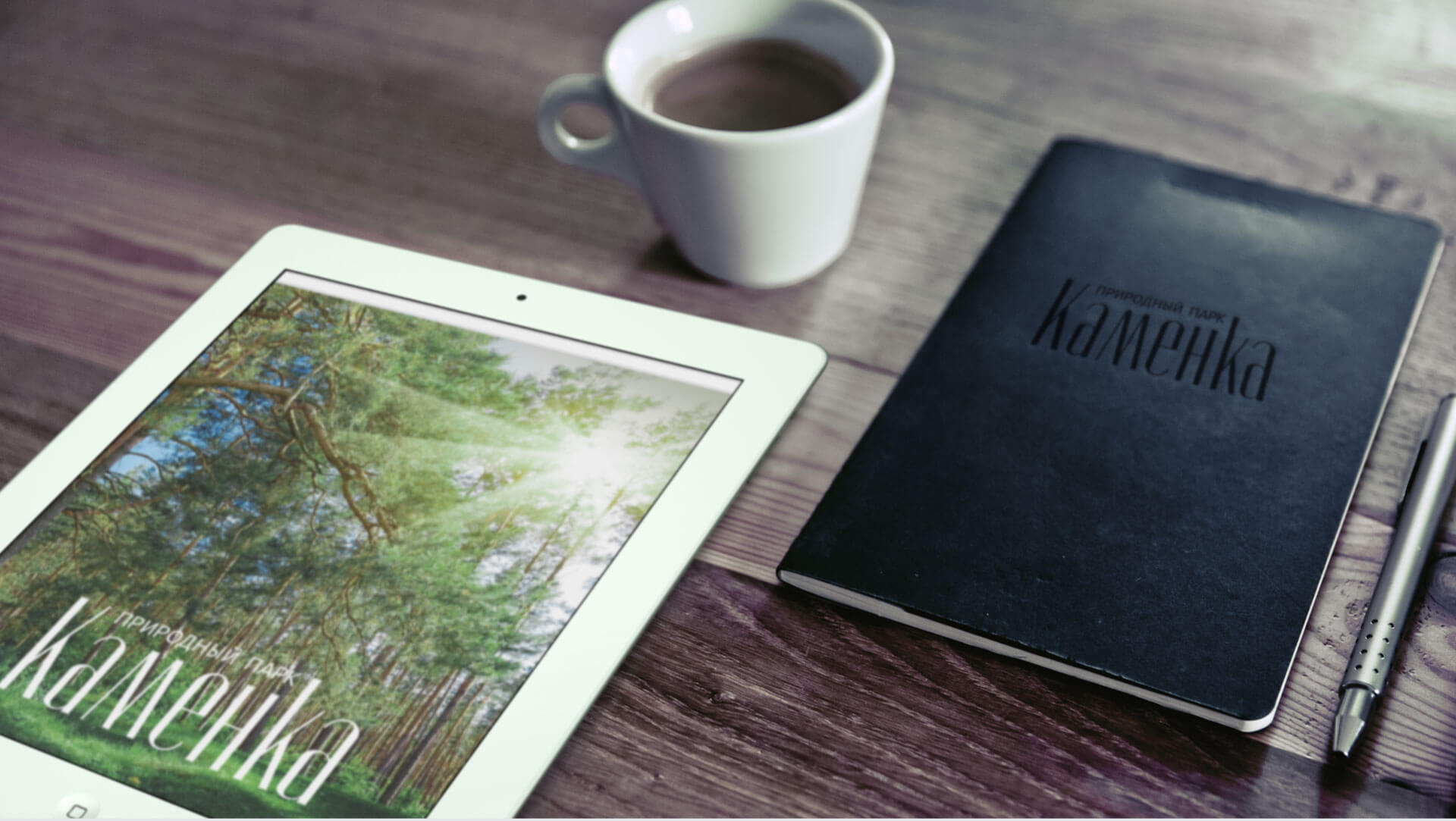 Концепция Природный Парк Каменка - 2LINES Рекламная группа BRANDING DESIGN DIGITAL WEB