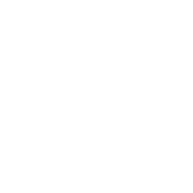 Концепция и сайт ЖК Лайм / бизнес-класс / айдентика, сайт, 3D-визуализация