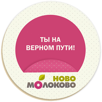 ЖК Ново-Молоково - 2LINES - Рекламная группа BRANDING DESIGN DIGITAL WEB