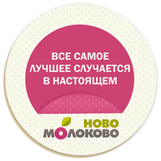 ЖК Ново-Молоково - 2LINES - Рекламная группа BRANDING DESIGN DIGITAL WEB